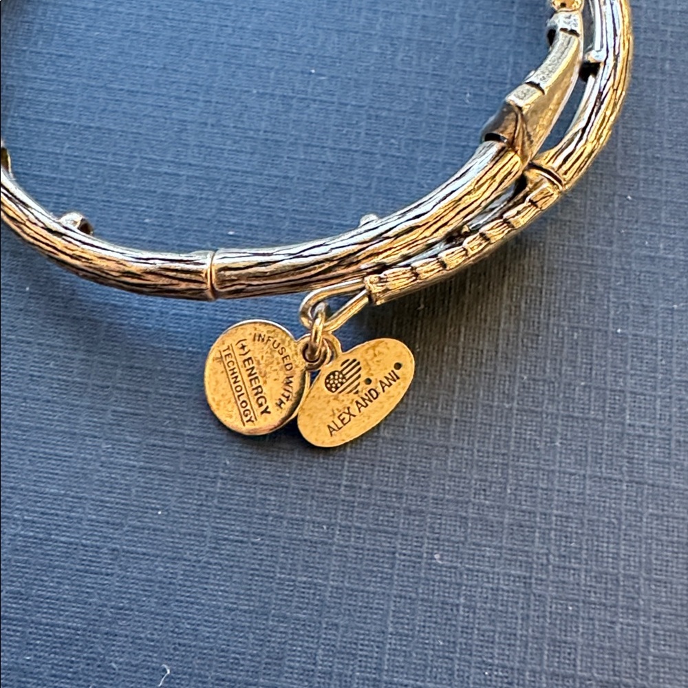 Alex and Ani Vintage 66 Love Struck Arrow Wrap Rafaelian Silver Bracelet - Picture 3 of 5